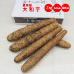  подлинный Ямато ямс 2Kg AA товар [ высший класс несессер ввод включая доставку ]