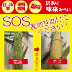 【雹害訳あり】【傷あり産地支援】【第2弾】味来（みらい）2Lサイズ12〜 16本 約4kg【 6月中旬〜下旬発送　期日指定不可　同梱不可 送料無料 クール宅急便】