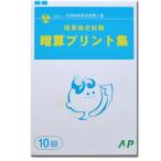 AP【全珠連】□暗算(あんざん) １０級 プリント集□ [取り外すとプリントに　検定対策]