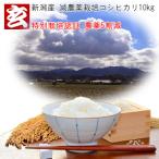 お米 10kg 送料無料 令和6年産 新潟県 減農薬コシヒカリ 玄米 10kg 送料無料 ※精米選択可 生産者:辻勉