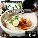 【送料無料】すだちおろしぶっかけ約...