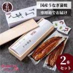 ショッピングうなぎ 父の日 国産 うなぎ 鰻 ウナギ 蒲焼き 2本 セット 260g 蒲焼 贈り物 ギフト 食べ物 食品 海鮮 手土産 プレゼント 食べ物 お中元 父の日 2024