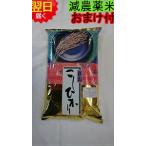 【令和５年産　新米】