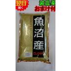 【令和6年産 新米】新潟県 魚沼産コシヒカリ 5kg(白米または玄米) 特別栽培 減農薬米 送料無料 ※北海道、沖縄は追加送料かかります。
