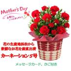 2026年 母の日 カーネーション 5号 inバスケット ギフト 花 プレゼント メッセージカード付 2026年5月7日以降にお届け！※お届けが早まる場合がござます
