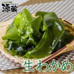 わかめ (生わかめ)（三陸産）1kg (500g×2) 【湯通し済】【塩抜き不要】【冷凍保存可】ヤマトクール便