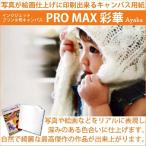 ショッピングキャンバス インクジェットキャンバス インクジェット用キャンバス地 [ProMax彩華] 17インチ (43cm×12m)  (ロールタイプ）