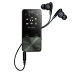 DAP>S310 серии [4G]( черный )NW-S313[ безопасность гарантия ]