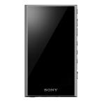 DAP>A300 серии [32GB]( серый )NW-A306(H)[ безопасность гарантия ]