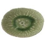 信楽焼 へちもん 大皿 蓮の葉