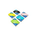  сосна . стекло промышленность MAS coats ride стакан белый 20 100 листов 