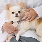 petio(Petio) собака кошка для FIXCARE лезвие .. добрый s Kiva sami