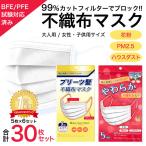 不織布マスク 30枚 使い捨て 送料無料 当日出荷 5枚 6パック 花粉 ウィルス PM2.5 対策 99％カットフィルター採用 使い捨て 平ゴム 耳に優しい マスク 白