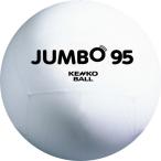 J95 Kenko jumbo мяч 95 все 2 цвет производитель наличие, прием заказа после наличие. наличие ответ делаем.