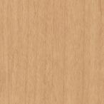 �T���Q�c  ���A�e�b�N  REATEC�@RW-4067