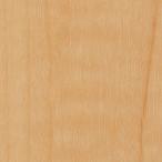 �T���Q�c  REATEC ���A�e�b�N�@TC-5109