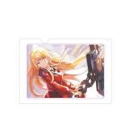 アサルトリリィ Last Bullet 宮川高嶺 Ani-Art aqua label クリアファイル