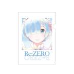 Re：ゼロから始める異世界生活 レム Ani-Art aqua label クリアファイル