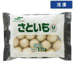 [ кейс распродажа 10 штук 1 кейс ] 16?24 шт 500g 10 пакет nichiro рефрижератор ....M [ рефрижератор рейс ]