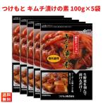 つけもと キムチ漬けの素 100g×5袋 キムチ鍋 粉末タイプ キムチの素