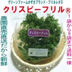  зеленый ферма число . оригинал оборка lettuce обычная температура рейс свежесть гарантия . плёнка упаковка сырой овощи включая налог 1 пакет ~9 пакет tore ферма. песок культивирование ... изначальный .. овощи.!