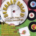 輸入盤 VARIOUS / 24 KARAT GOLD DANCEHALL MEGAMIX 2 [CD]