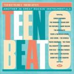輸入盤 VARIOUS / TEEN BEAT VOLUME 6 [CD]