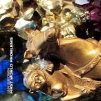 輸入盤 IAN BROWN / FIRST WORLD PROBLEMS [12inch]