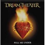 輸入盤 DREAM THEATER / PULL ME UNDER [LP]