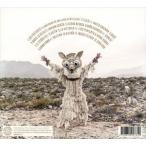  зарубежная запись CHANCHA VIA CIRCUITO / BIENAVENTURANZA [CD]