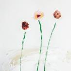 輸入盤 DOT HACKER / NO3 [CD]