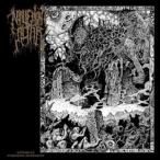輸入盤 MALIGNANT ALTAR / REALMS OF EXQUISITE MORBIDITY [CD]