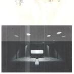 輸入盤 LO MOON / MODERN LIFE [LP]