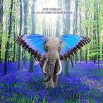 輸入盤 TOM MORELLO / ATLAS UNDERGROUND FLOOD [CD]