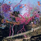 輸入盤 ANIMAL COLLECTIVE / HERE COMES THE INDIAN [LP]