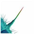 輸入盤 PETER GABRIEL / AND I’LL SCRATCH YOURS [CD]
