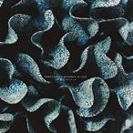 輸入盤 ROBOT KOCH ／ SAVANNAH JO LACK / OTHERWHERE [LP]