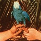 輸入盤 ANDREW BIRD / ARE YOU SERIOUS [2CD]