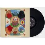 輸入盤 WHITE DENIM / PERFORMANCE [LP]