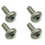 チタンヘックスフランジビス 3×8 FTR