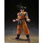S.H.Figuarts ドラゴンボール超 孫悟空 SUPER HERO（再販版） 塗装済み可動フィギュア
