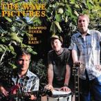 輸入盤 WAVE PICTURES / BAMBOO DINER IN THE RAIN [CD]