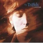 輸入盤 TRIFFIDS / CALENTURE [2CD]