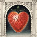 輸入盤 SAINTSENECA / PILLAR OF NA [CD]