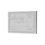 輸入盤 KIM SUNG KYU / SOLO CONCERT ： SHINE ENCORE （LTD） [2DVD＋PHOTOBOOK]