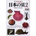 日本の貝 2