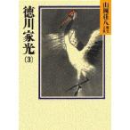 徳川家光 3