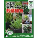 失敗しない観葉植物 決定版