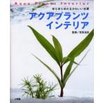 アクアプランツインテリア ゆらゆらゆれるかわいい水草