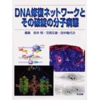 DNA修復ネットワークとその破綻の分子病態